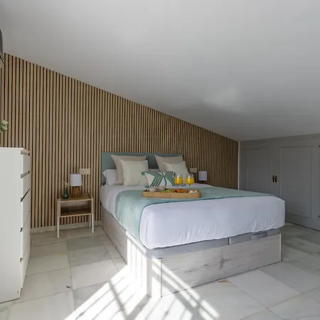 Living4malaga Sky Garden Duplex