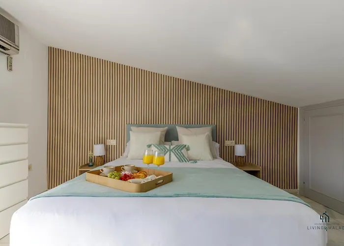Living4malaga Sky Garden Duplex * Malaga
