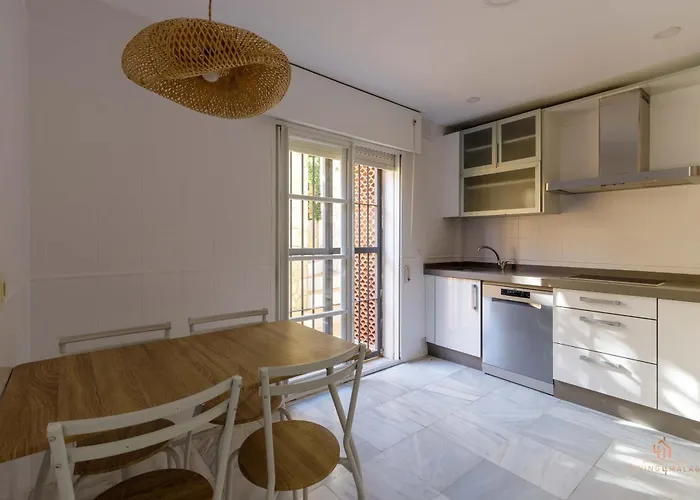 Living4malaga Sky Garden Duplex *